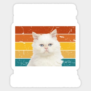 Every snack you make. Persian cat retro design Sticker